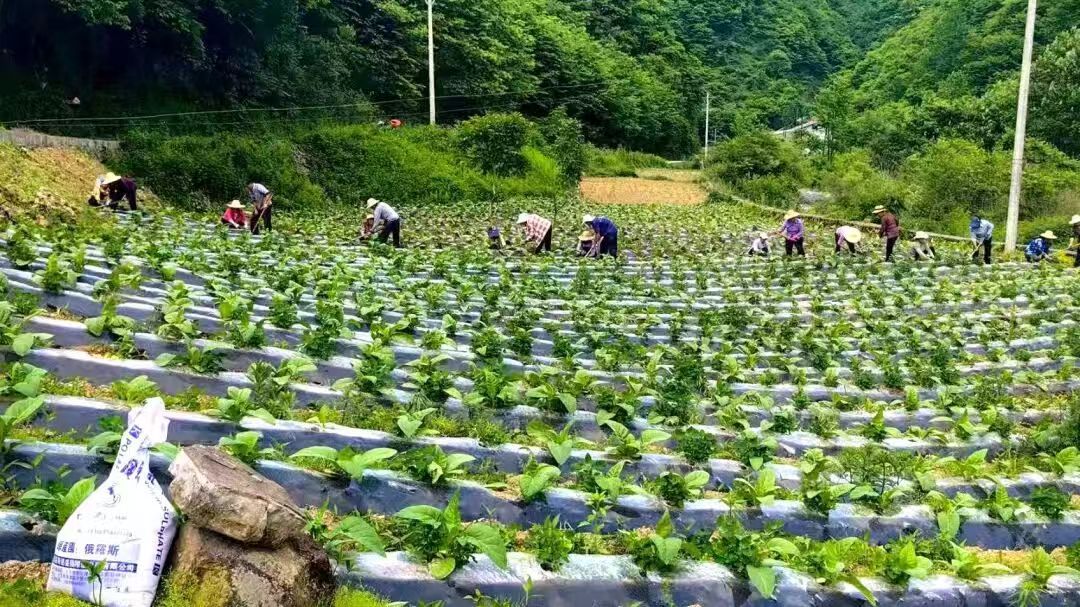 C:\Users\ADMINI~1\AppData\Local\Temp\WeChat Files\a82aefd0ac44746592447a72cd8b467.jpg