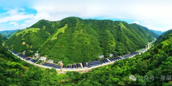 D:\Documents\WeChat Files\wxid_93fnk9ywzkz311\FileStorage\Temp\38bb6432fc16d97237cb7275c83ae2e8.png