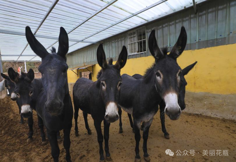 D:\Documents\WeChat Files\wxid_93fnk9ywzkz311\FileStorage\Temp\9aec118d2ead0f2b227b33501be60e22.png