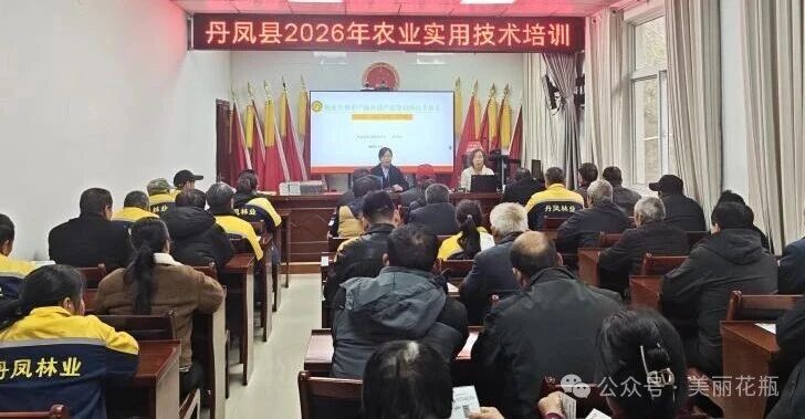 D:\Documents\WeChat Files\wxid_93fnk9ywzkz311\FileStorage\Temp\09625dae92953907d669c395342fd784.jpg