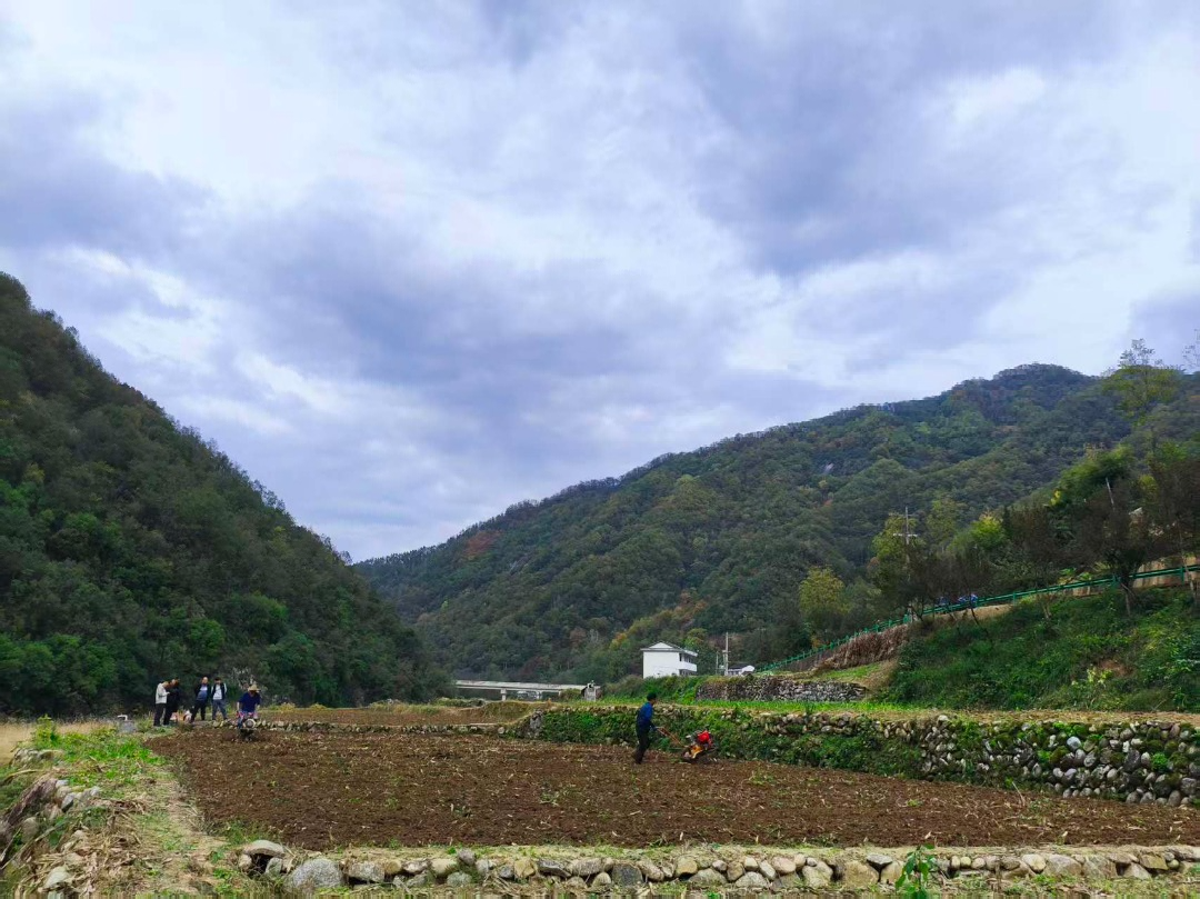 D:\Documents\WeChat Files\wxid_93fnk9ywzkz311\FileStorage\Temp\1d24a229af096374836dd3c388800e79.png