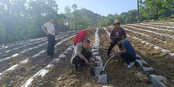 C:\Users\ADMINI~1\AppData\Local\Temp\WeChat Files\bb1b656b53da3d6d6e86bce48a49787.jpg