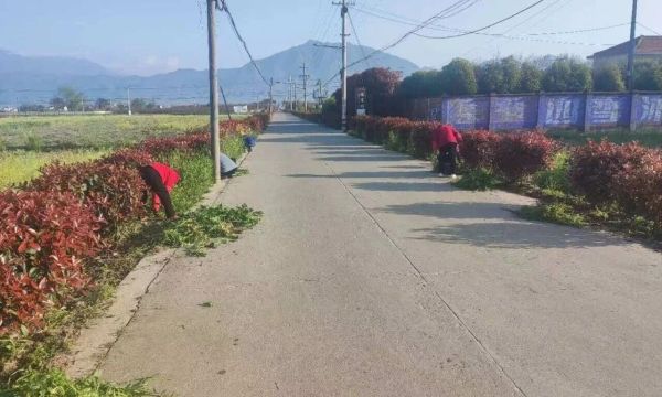 D:\Documents\WeChat Files\wxid_93fnk9ywzkz311\FileStorage\Temp\72fd29a178242ff66d4ec4094befd664.jpg