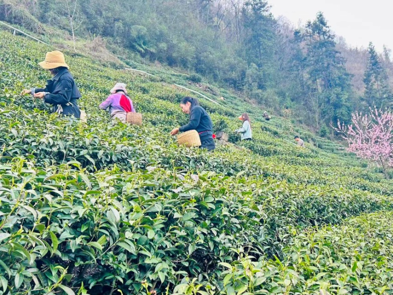 e4c1ffcbd7cb2198b68158a4433640d4