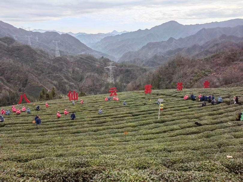 8379b59e2819ef8aeb8972921ca88edb