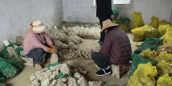 D:\xwechat_files\wxid_93fnk9ywzkz311_4c36\temp\RWTemp\2026-05\44411dc9dc6e6ff740f047131560d8d2.jpg