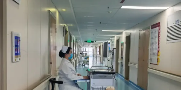 IMG_256