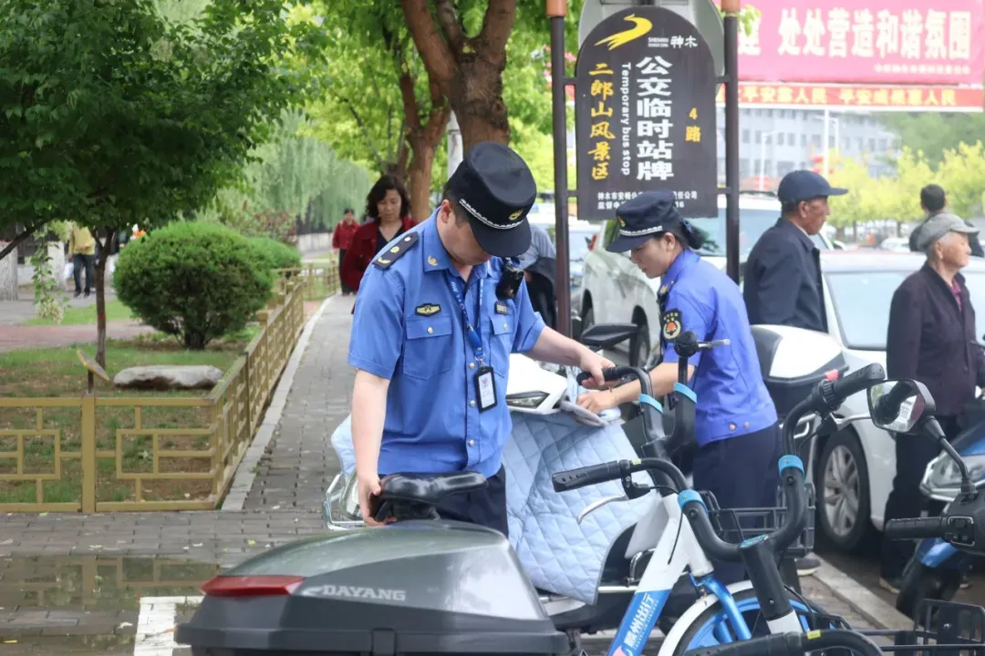IMG_256