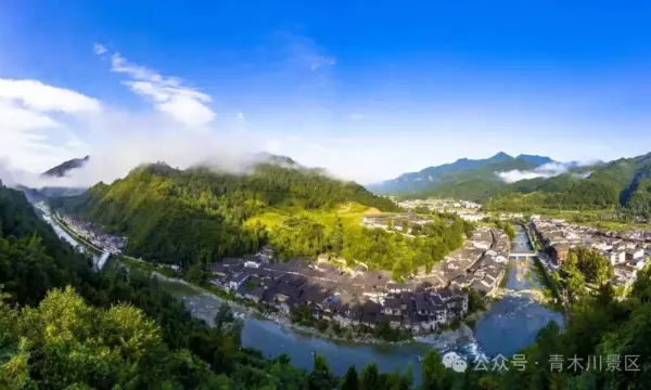 IMG_260