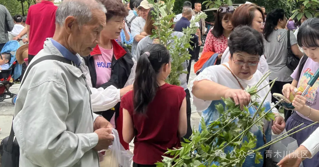 IMG_270