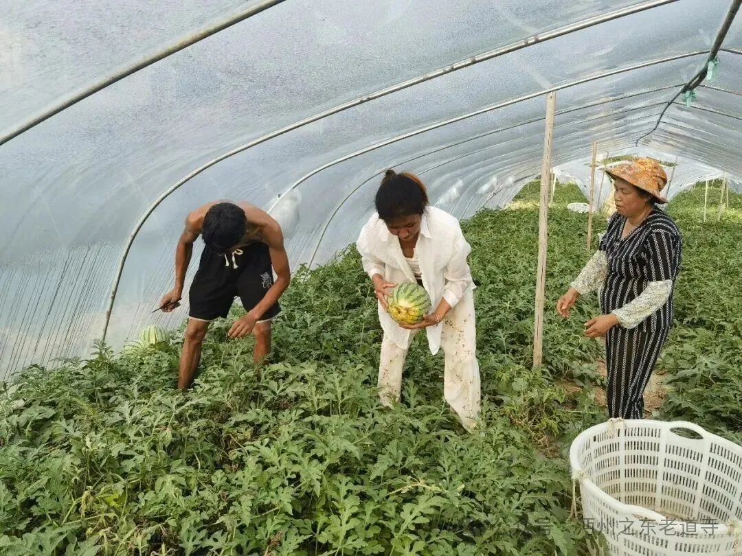 IMG_256